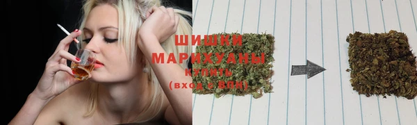PSILOCYBIN Алексеевка