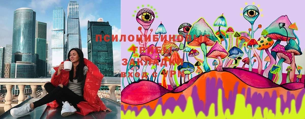 PSILOCYBIN Алексеевка