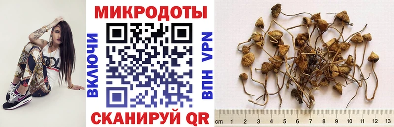 Псилоцибиновые грибы Magic Shrooms  Томск 